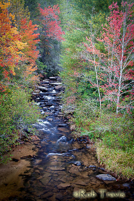 Little River in Autumn, DuPont State Forest