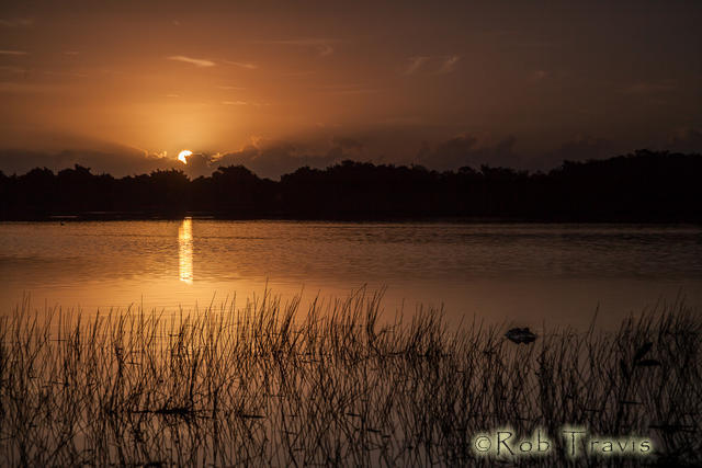 Sunrise, Everglades ll