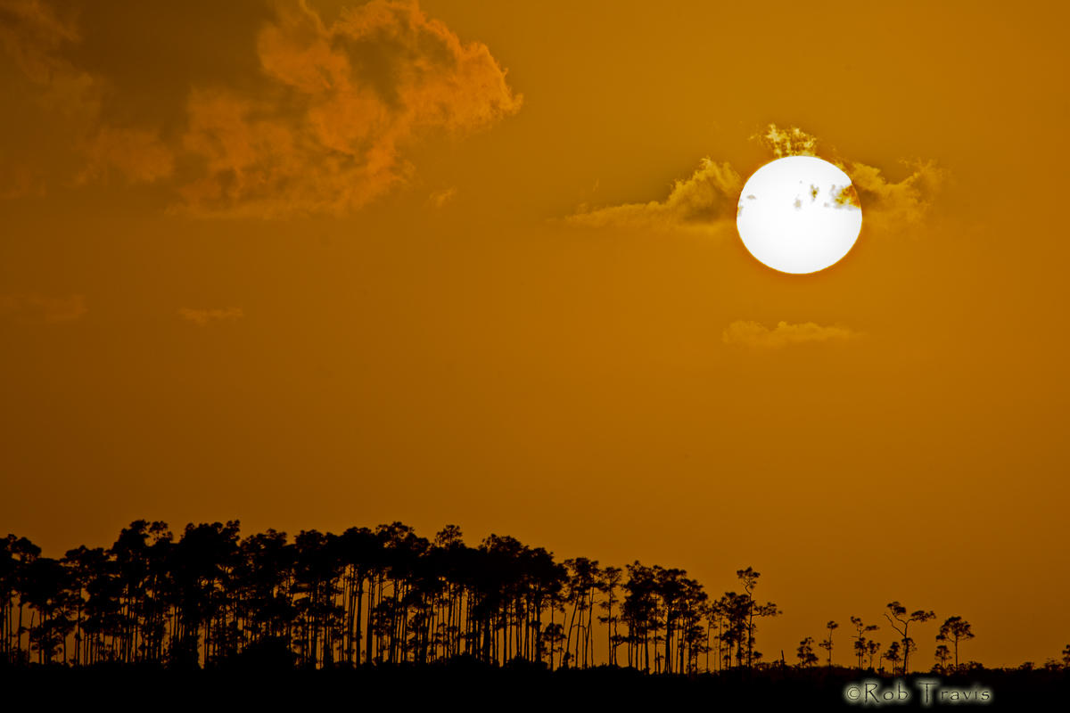 Sunset, Everglades