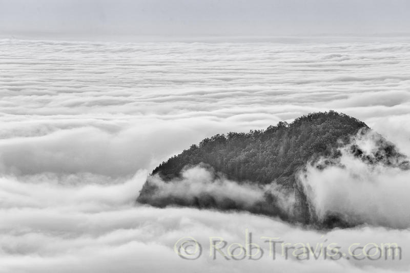 Sea of Clouds; Looking Glass Rock in Pisgah Nat'l Forest