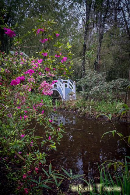 2018 Charleston - Magnolia Gardens