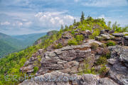 Linville Gorge Layers