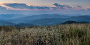 On the Appalachian Trail at Max Patch