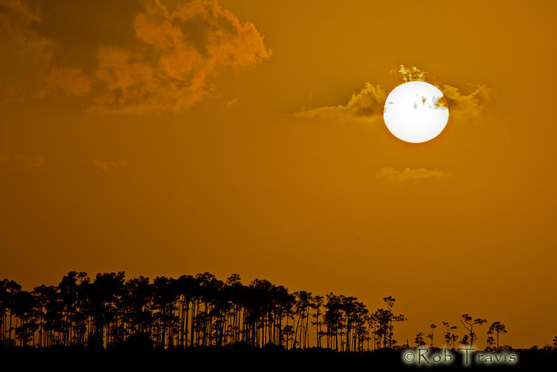 Setting Sun in the Everglades