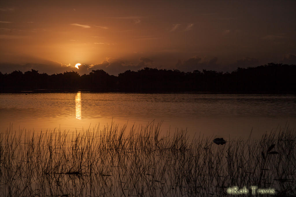 Everglades Sunrise. 
