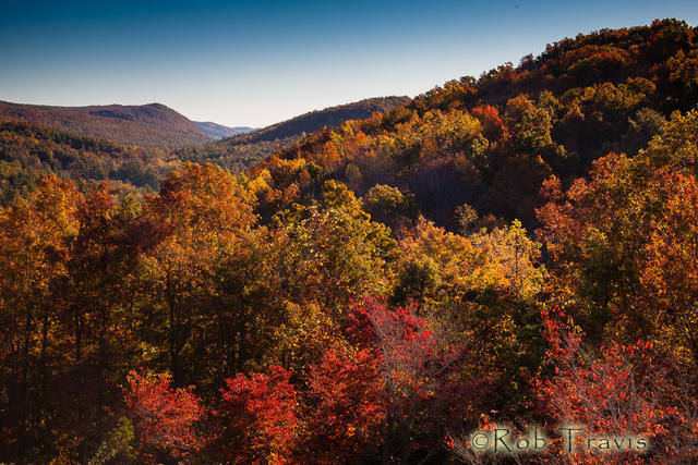 Autumn View from Glass Feather, Cedar Mountain, NC. 