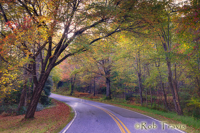 Down my Road in Autumn - Cedar Mountain, NC