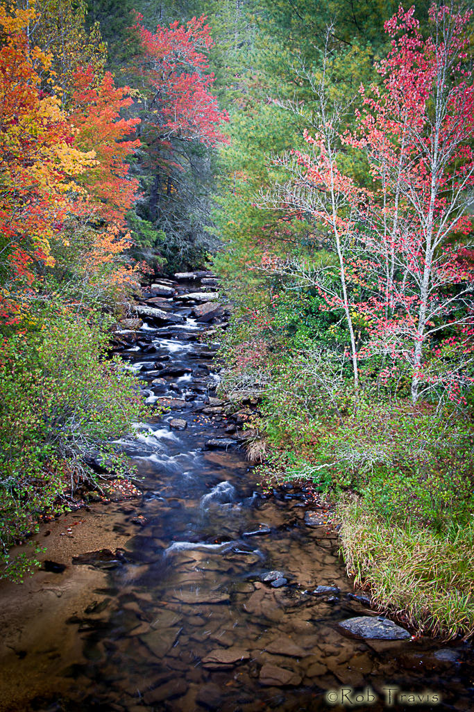 Little River in Autumn, DuPont State Forest