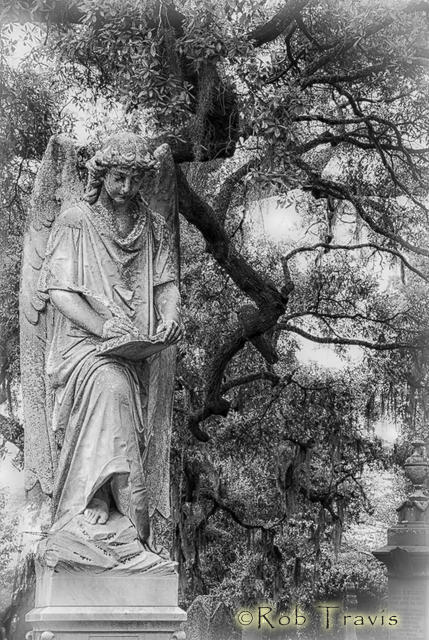 Angel Statuary at Magnolia Cemetery 