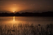 Sunrise, Everglades ll