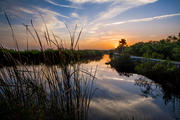 Sunrise, Everglades lll