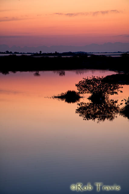 Mangrove Sunrise Vertical