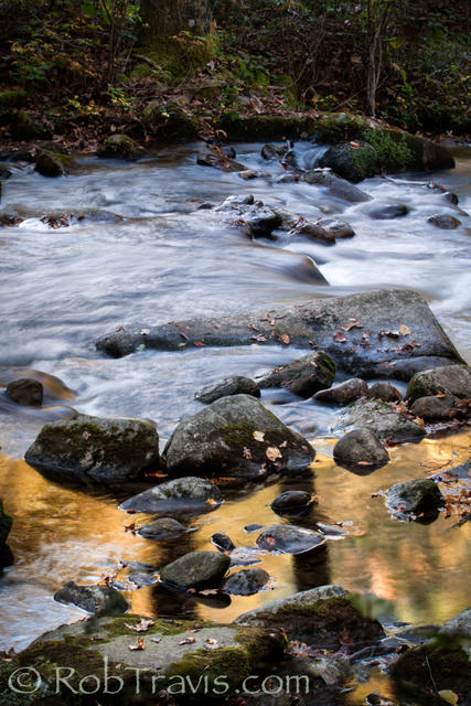 Gold in the Water - Jones Gap State Park