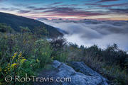 Dawn approaches from Black Balsam Knob