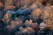 Nature's Palette, Graveyard fields on the BR Parkway