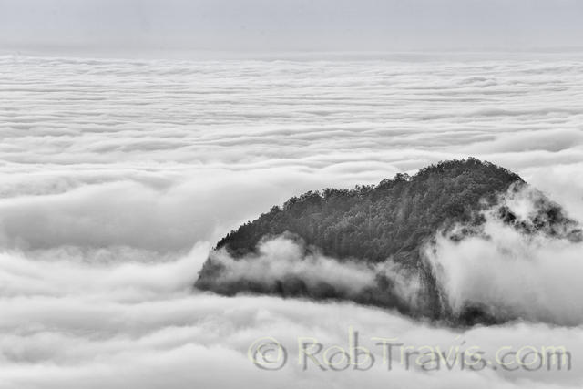 Sea of Clouds; Looking Glass Rock in Pisgah Nat'l Forest