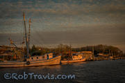 Shrimp boats at Twilight