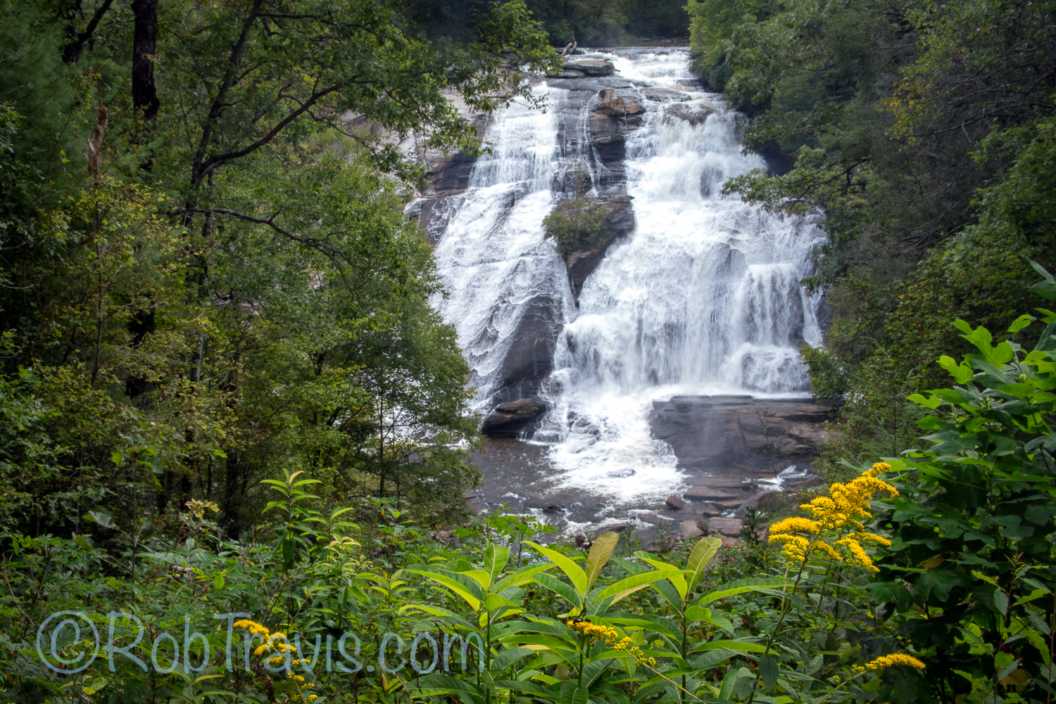 High Falls w/ Goldenrod, DuPont State Forest
