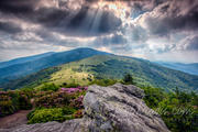 Roan Mountain Afternoon II - Life on the Appalachian Trail