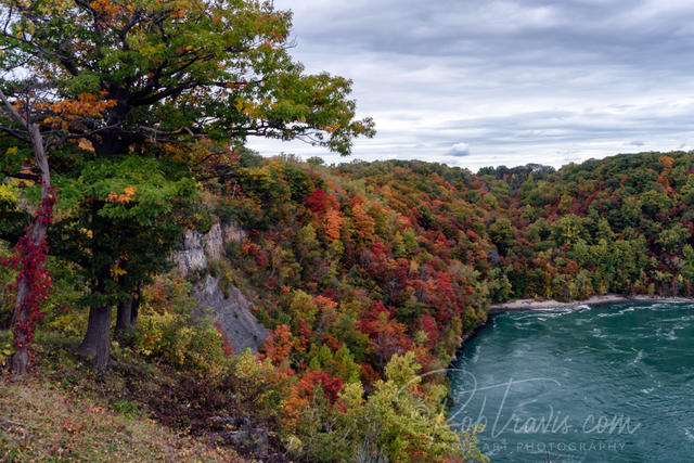 Niagara Falls Scenic - Whirlpool fall foliage _DSC0231