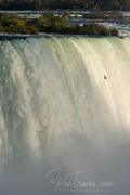 Horseshoe Falls with Bird _DSC0853