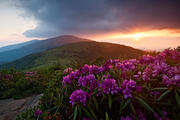 Roan Mountain Sunset	