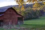 Autumn Barn near Mills River