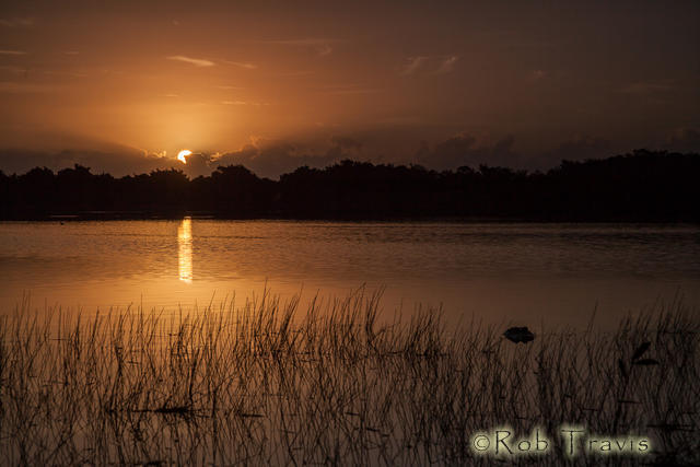 Everglades Sunrise. 