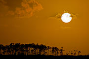 Setting Sun in the Everglades