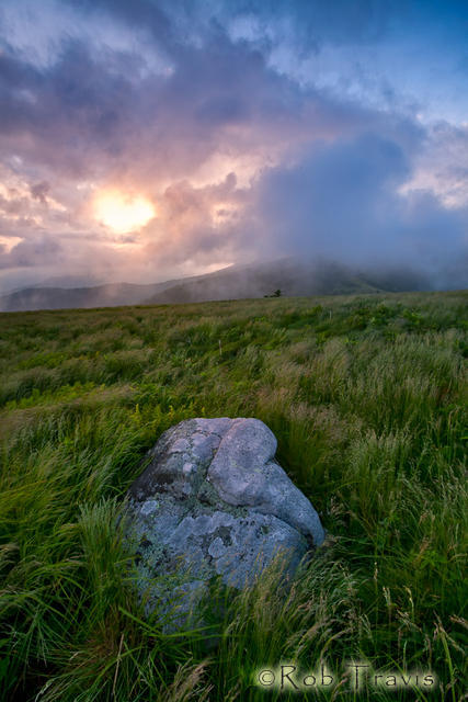 Sunrise on a stormy morning on Roan Mountain
