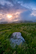 Sunrise on a stormy morning on Roan Mountain