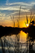 Sunrise in the Everglades. 