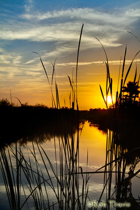 Sunrise in the Everglades. 