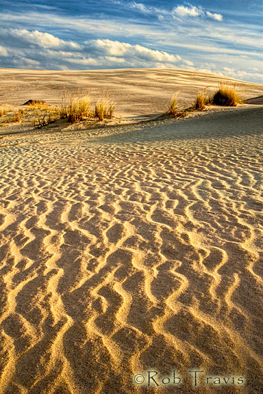 Sand Patterns, Jockey's Ridge OBX
