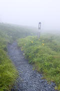 On the AT (Appalachian Trail)