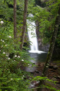 Courthouse Falls, Pisgah National Forest