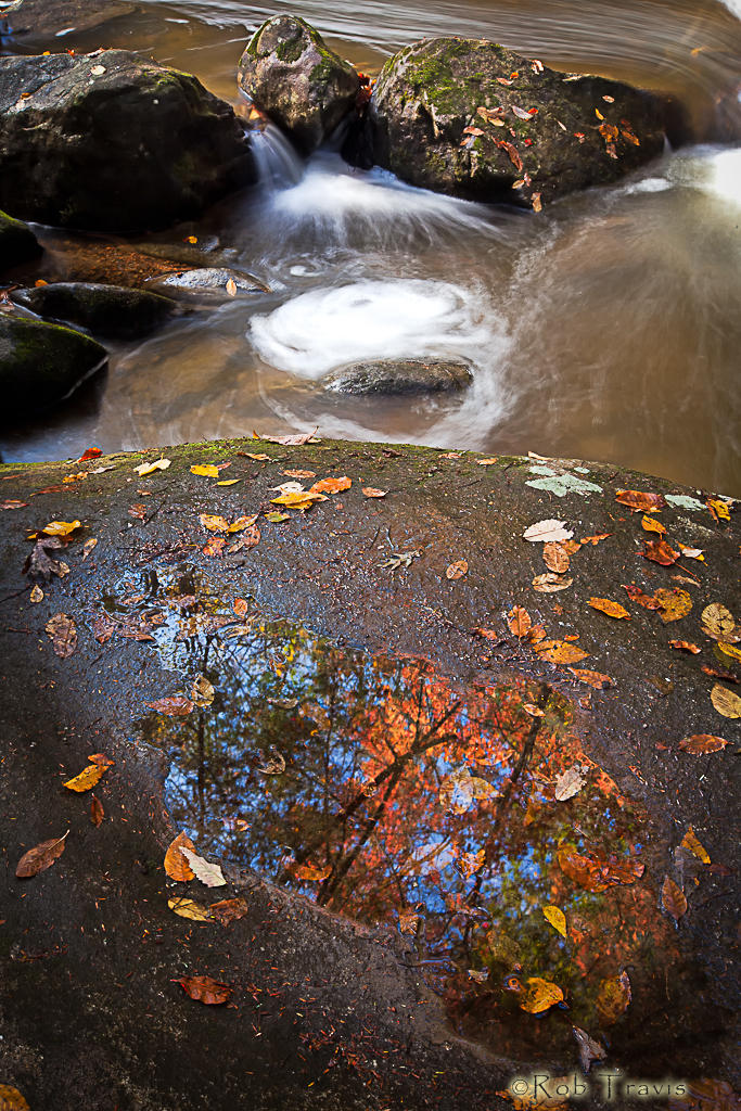 Reflections in a Puddle, Jones Gap State Park