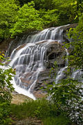Batson Creek Falls by Forest Path