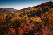 Autumn View from Glass Feather, Cedar Mountain, NC. 