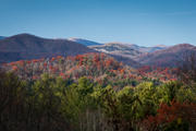 Late Afternoon in the Blue Ridge Mountains. 