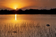 Mosquito Point Sunrise, Everglades. 