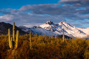 Arizona Mountains, Tucson