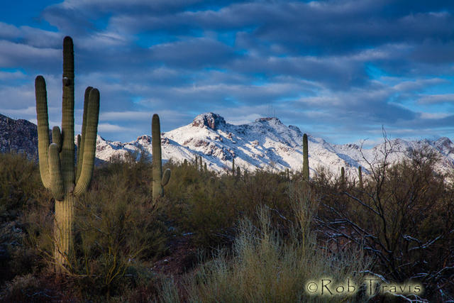Arizona Mountains, Tucson