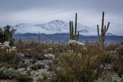 Catalina Mountains, Tucson
