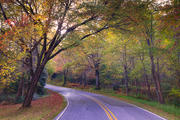 Down my Road in Autumn - Cedar Mountain, NC