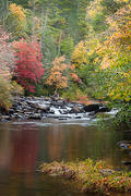 On the banks of the Little River, DuPont State Forest