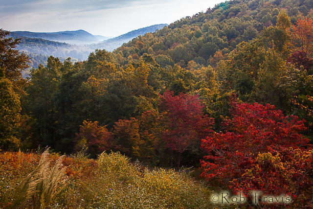 Autumn View From The Glass Feather Studio, Cedar Mountain, NC