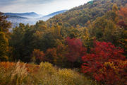 Autumn View From The Glass Feather Studio, Cedar Mountain, NC