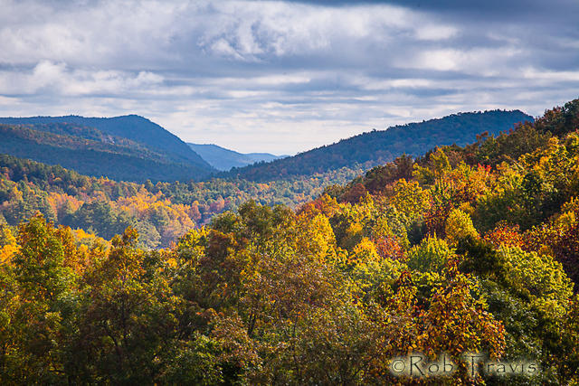 Autumn View, Cedar Mountain, NC