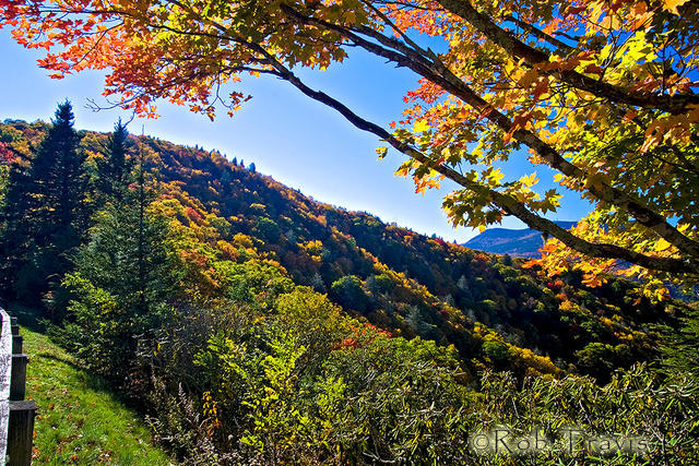 Autumn near Mt Mitchell